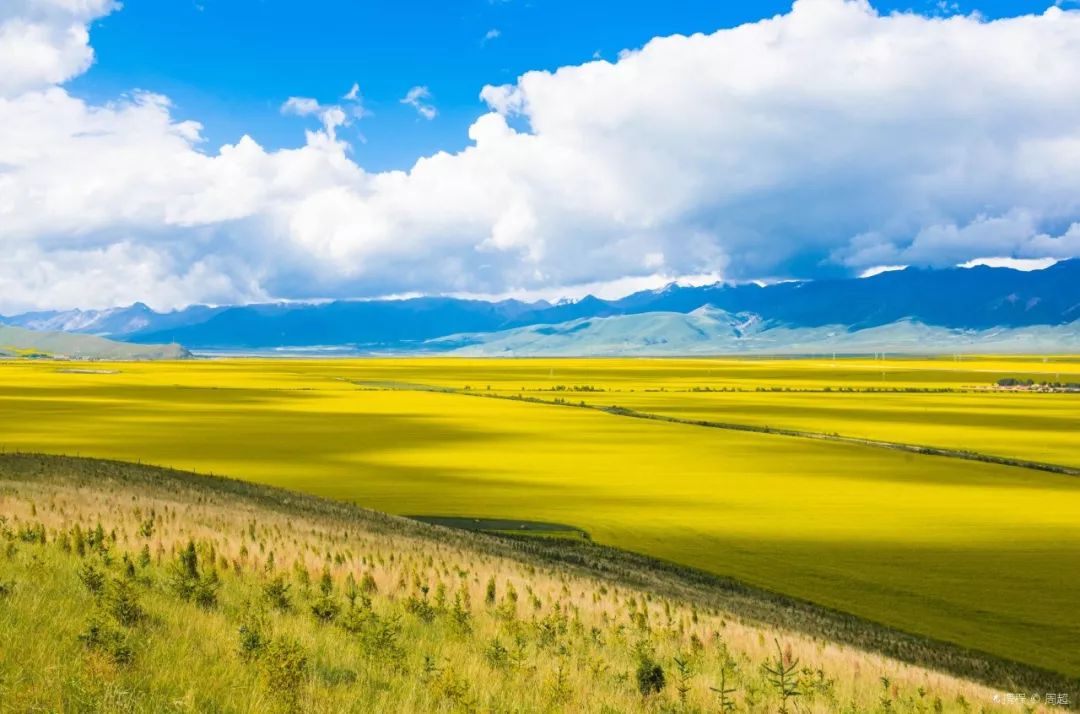 高原绿韵,青海绿色发展新篇章