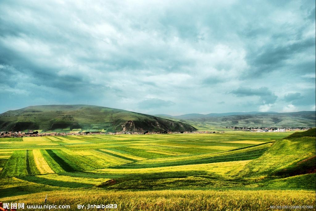 高原绿韵,青海绿色发展新篇章