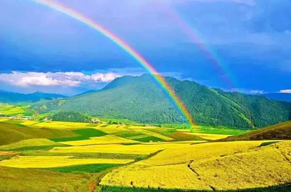 高原绿韵,青海绿色发展新篇章