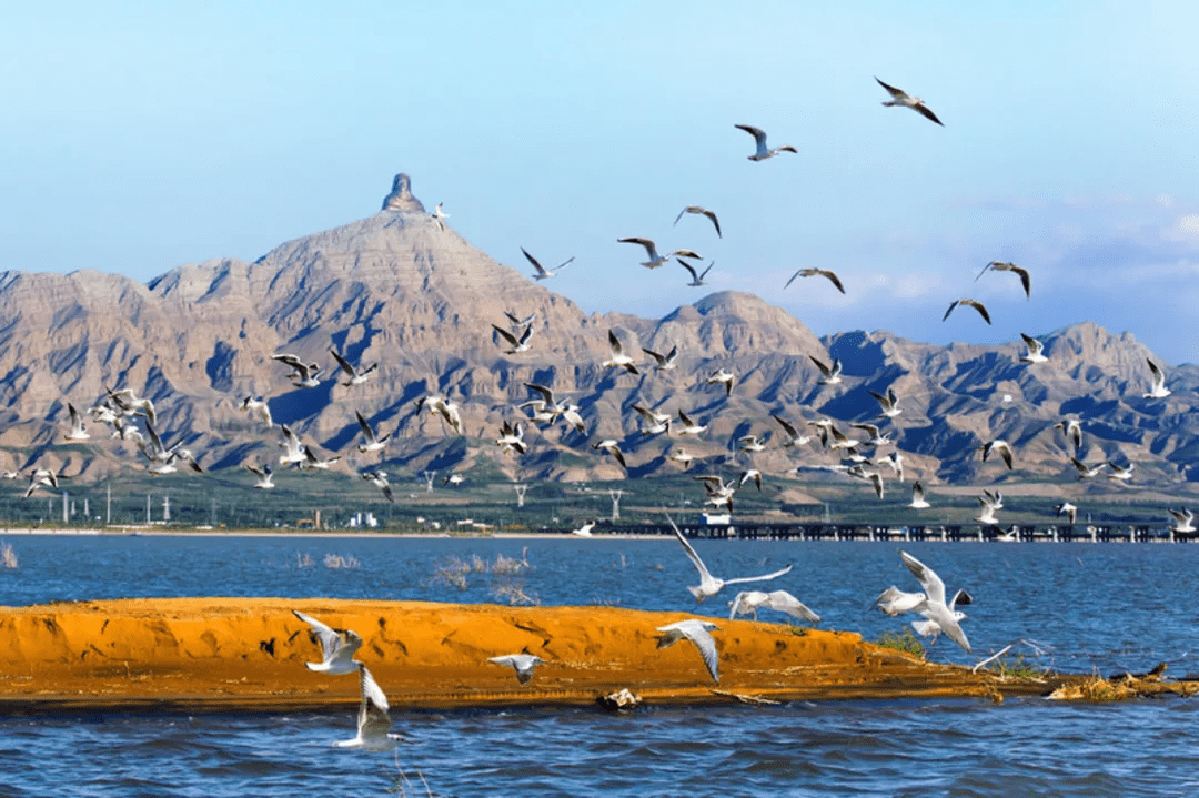 乌海，盛典启幕，致敬尊贵来宾与各界朋友